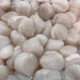 Fresh Scallops