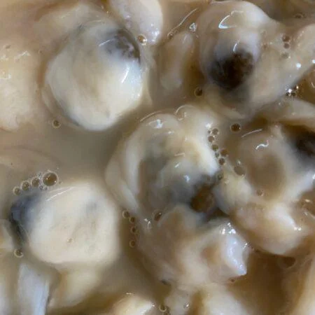 Frying-Clam-Bellys-Pic-Personal-Pic-rotated-3.jpg
