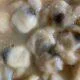 Frying-Clam-Bellys-Pic-Personal-Pic-rotated-3.jpg