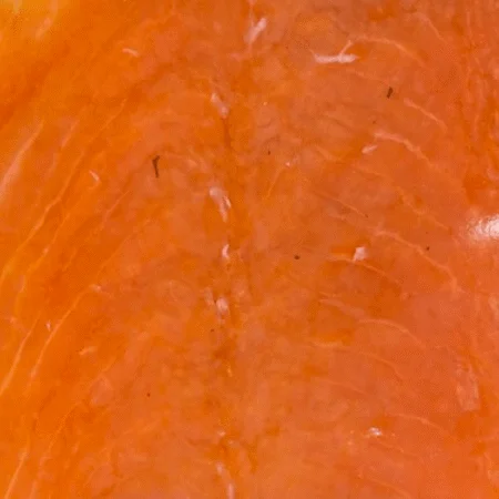 cold smoked salmon