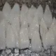 fresh squid tubes