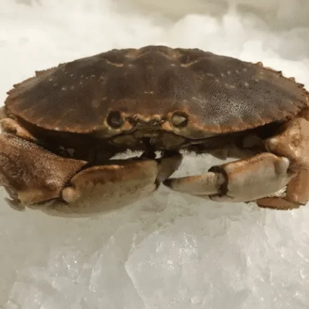 jonah crabs