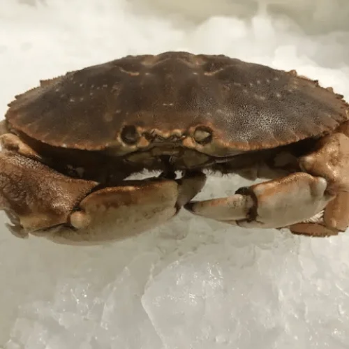 jonah crabs