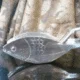 lemon squeezer metal fish shaped