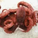 portuguese octopus