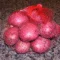 small red potatoes