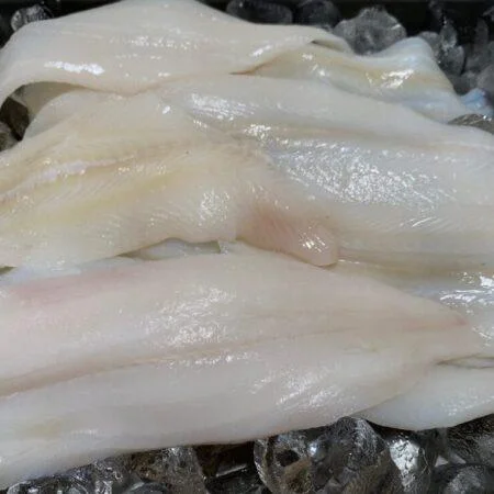 fresh sole fillets