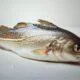 Whole Cod