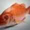 Whole Red Fish