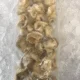 Whelk Meat Shipped