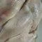 freshwater catfish fillets