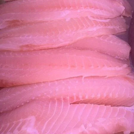 fresh tilapia fillets