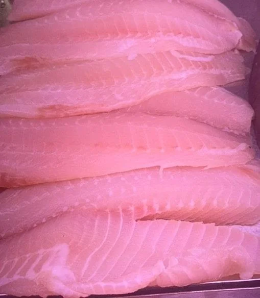 fresh tilapia fillets