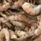 Shell on Shrimp (u8-u12)