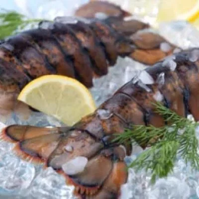 Maine shell-on lobster tails