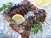 Shell-on Lobster Tails