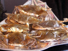 Maryland soft shell crabs - Medium