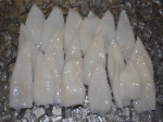 Large Squid Tubes