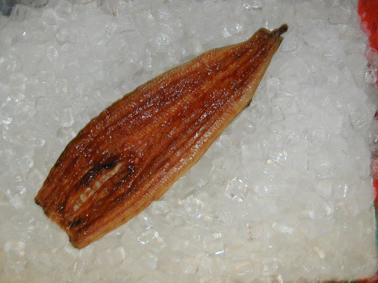 Freshwater Barbecued Eel Shipped The Fresh Lobster Co.