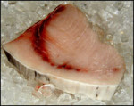 Fresh Swordfish Steaks