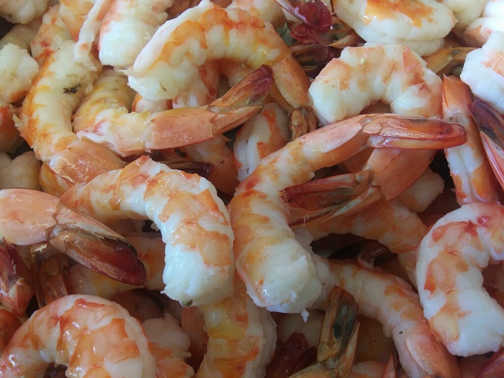 Fresh Wild Shrimpcooked Pre Steamed Peeled Deveined U12 U15 Per Pound From The Gulf Of Mexico The Fresh Lobster Company