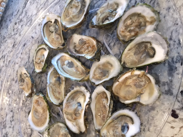 Buy Fresh Oysters Online - Largest Selection in UK 