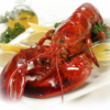 Cooked Maine Lobsters