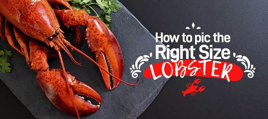 How to Pick the Right Size Lobster - The Fresh Lobster Company