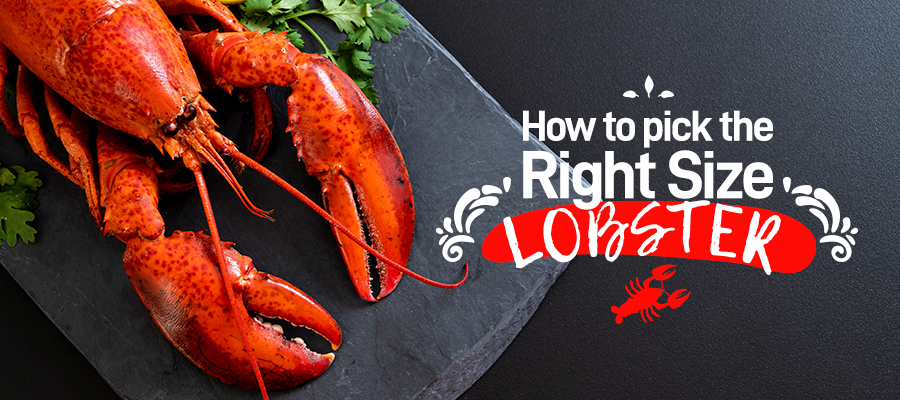 Why do Lobsters Turn Red When You Cook them?
