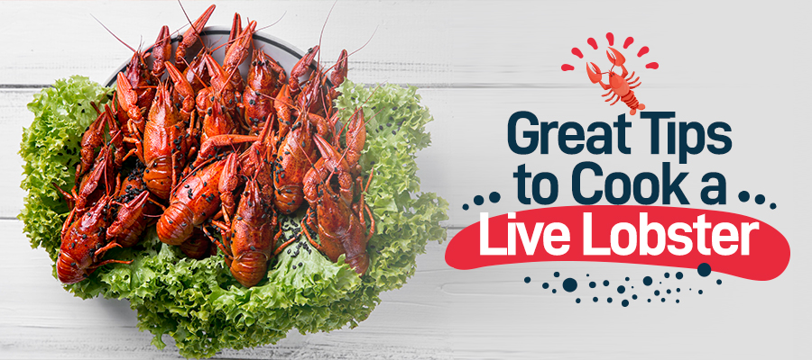 Great Tips to Cook a Live Lobster