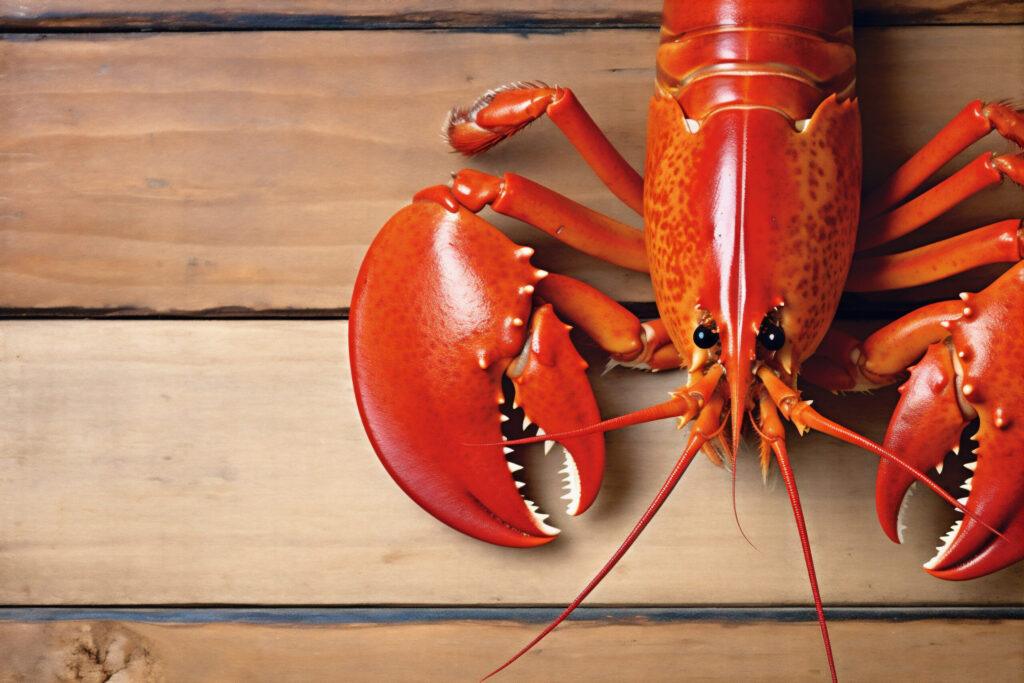 crawfish food boiled lobster cooked background red seafood crayfish claw black. Generative AI.
