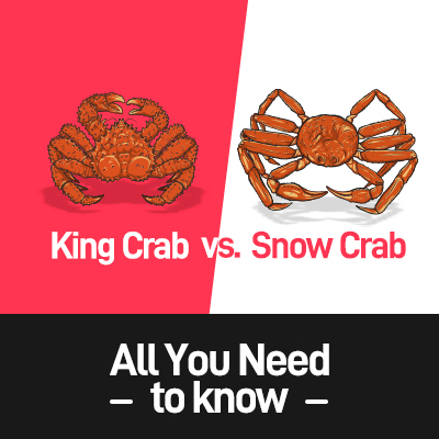 King Crab vs. Snow Crab: All You Need to know