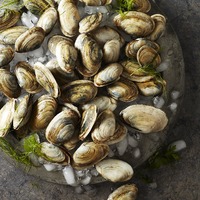 Fresh Clams for delivery