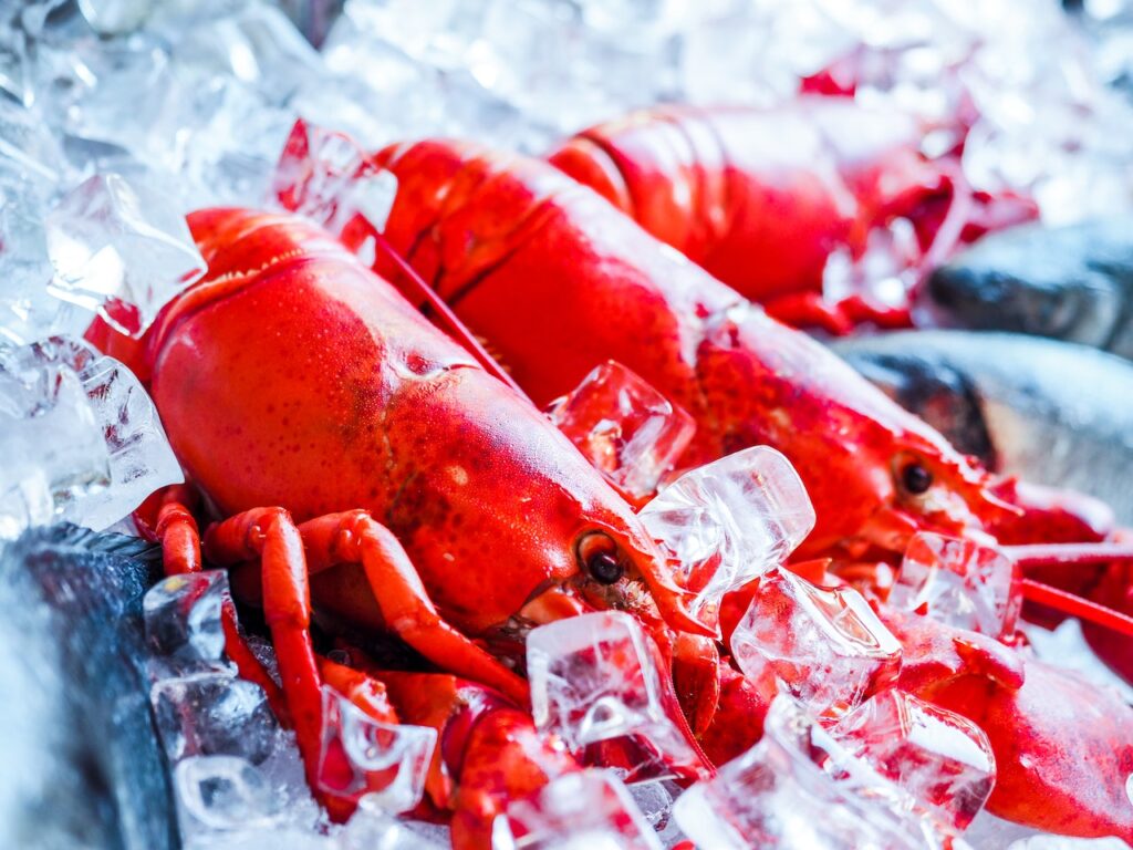 Unlocking Culinary Excellence with Live Maine Lobster Delivery in Gloucester MA