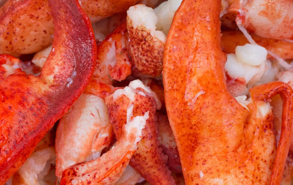Knuckle and Claw Lobster Meat
