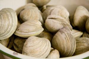 iStock_000002745383Small-1.jpg