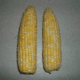 Fresh Corn on the Cob <BR>( Qty 2 per )