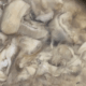 Fresh Oyster Meat<BR>( 1 x Gallon - Fresh Shucked Oyster Meat )