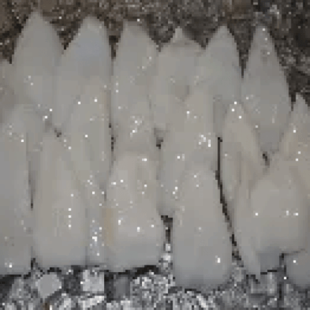 Fresh Squid Tubes <BR>( per pound )