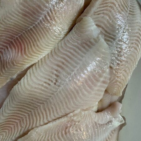 Freshwater Catfish Fillets