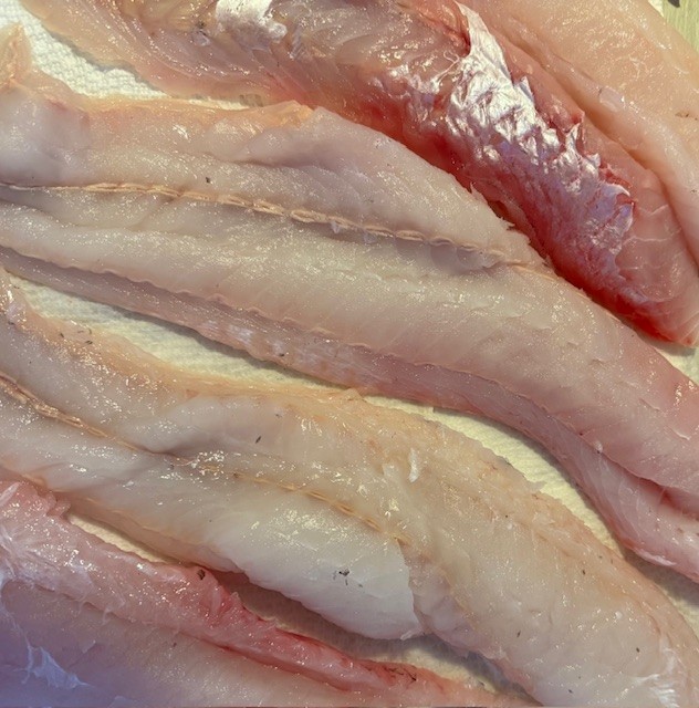 Hake Fillets