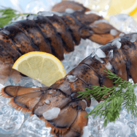 Maine Lobster Tails - Medium <BR>12 oz -14.0 oz<BR>Uncooked Shell-On<BR>(Qty 1 Tail per order)
