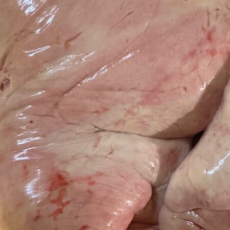 Fresh Monkfish Liver