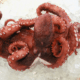 Portuguese Octopus <BR>( 4-6 pound range per ) - Cleaned<BR>Whole / FROZEN complete / UNCOOKED