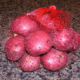 Small Red Potatoes <BR>( Qty 8-10 aprox )<BR>2 lbs per Bag per