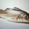 Whole Cod