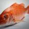 Whole Red Fish