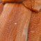 Fresh Wild Salmon Fillets