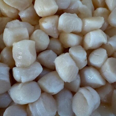 Fresh Bay Scallops <BR>( Small Scallops - per pound)<BR>- Prev. Frozen