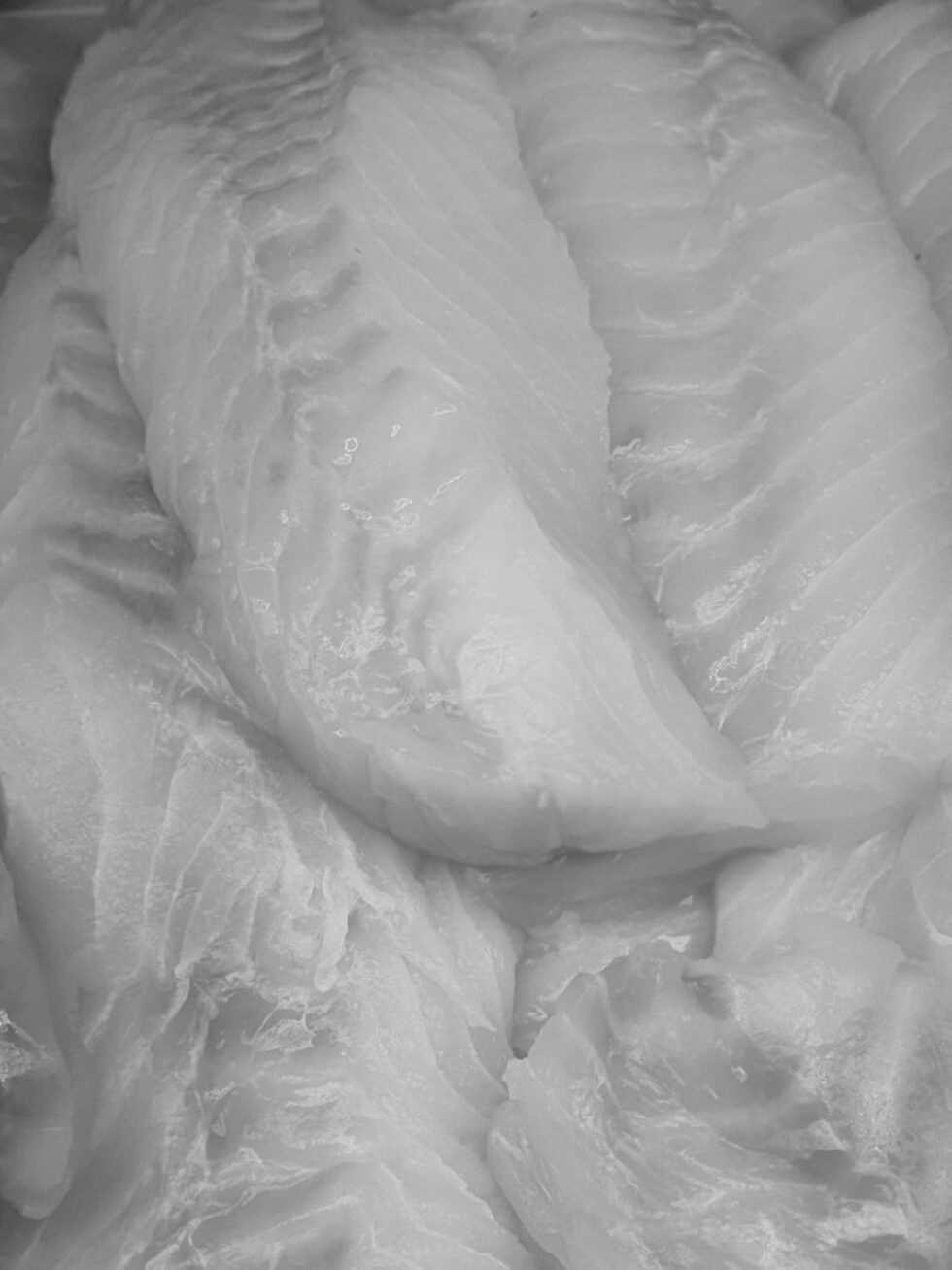 Fresh Cod Fillets Shipped